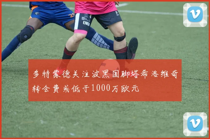 多特蒙德关注波黑国脚塔希洛维奇转会费或低于1000万欧元