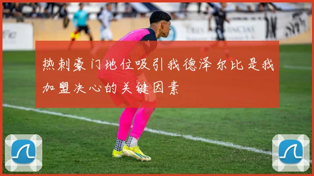 热刺豪门地位吸引我德泽尔比是我加盟决心的关键因素